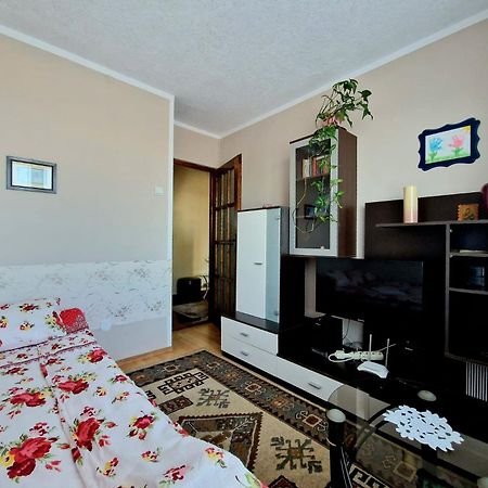 Sabina Apartment Sighişoara Buitenkant foto